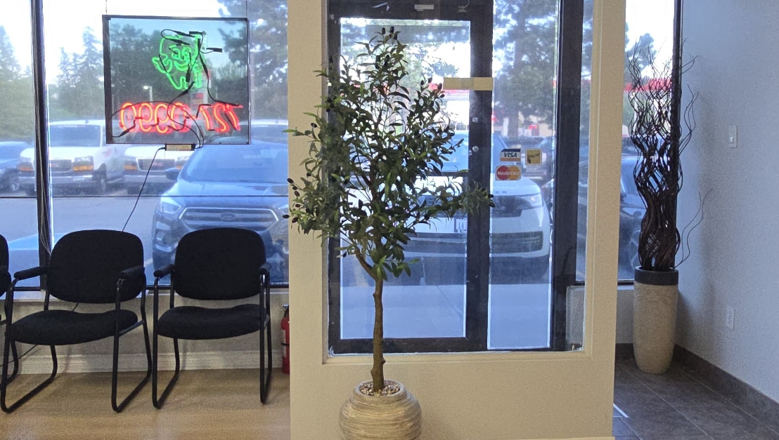 Reception area and waiting room at Fisher Dental